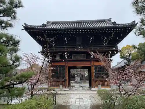 頂妙寺(京都府)