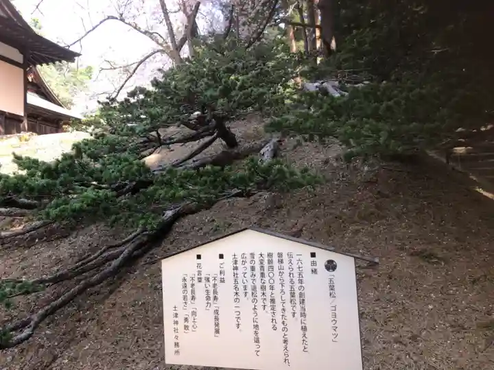 土津神社|こどもと出世の神さま(福島県)