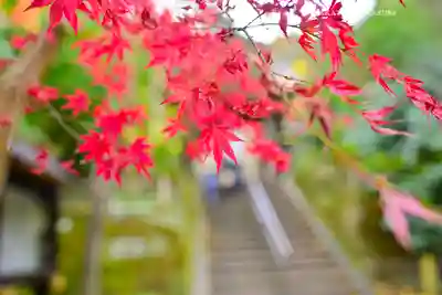 円覚寺(神奈川県)