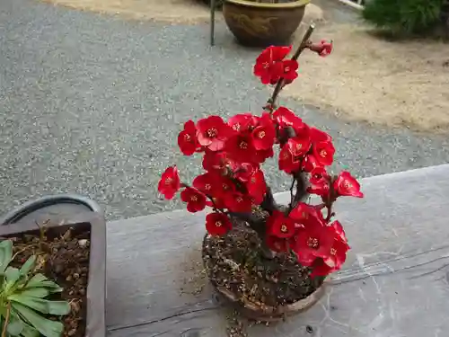 妙蓮寺(神奈川県)