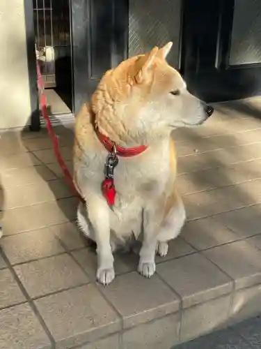 笠䅣稲荷神社の{uncategorized: "未分類", other: "その他", undefined: "問題あり", building: "その他建物", grave: "お墓", sacred_gate: "鳥居", guardian: "狛犬", statue: "像", buddha: "仏像", history: "歴史", nature: "自然", garden: "庭園", animal: "動物", pagoda: "塔", temizu: "手水舎", mountain_gate: "山門・神門", sanctuary: "本殿・本堂", subordinate: "末社・摂社", art: "芸術", scenery: "景色", jizo: "地蔵", ema: "絵馬", goshuin: "御朱印", omikuji: "おみくじ", items: "授与品その他", amulet: "お守り", goshuincho: "御朱印帳", eats: "食事", festival: "お祭り", votive_dance: "神楽", shichigosan: "七五三参", wedding: "結婚式", experience: "体験その他", initially: "初詣", around: "周辺", anti_infection: "感染症対策"}