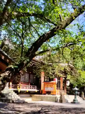 熊野神社(東京都)