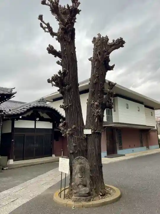 養昌寺(東京都)