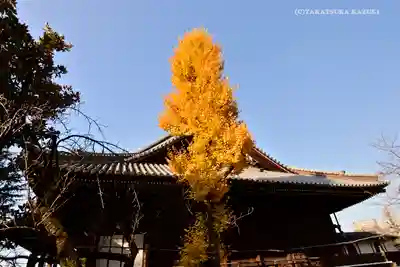 寛永寺(根本中堂)の本殿・本堂