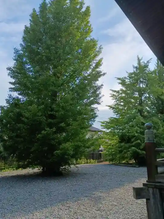 薬師堂(茨城県)