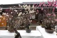 菅原天満宮（菅原神社）の建物その他