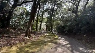 西麻植八幡神社(徳島県)