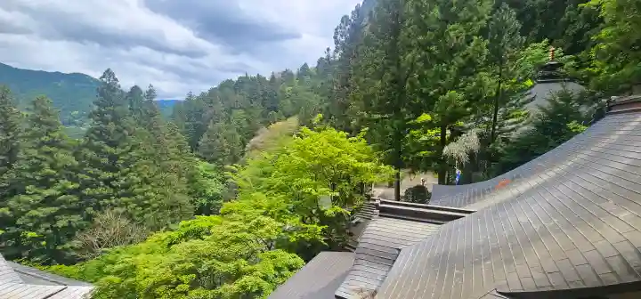 岩屋寺の{uncategorized: "未分類", other: "その他", undefined: "問題あり", building: "その他建物", grave: "お墓", sacred_gate: "鳥居", guardian: "狛犬", statue: "像", buddha: "仏像", history: "歴史", nature: "自然", garden: "庭園", animal: "動物", pagoda: "塔", temizu: "手水舎", mountain_gate: "山門・神門", sanctuary: "本殿・本堂", subordinate: "末社・摂社", art: "芸術", scenery: "景色", jizo: "地蔵", ema: "絵馬", goshuin: "御朱印", omikuji: "おみくじ", items: "授与品その他", amulet: "お守り", goshuincho: "御朱印帳", eats: "食事", festival: "お祭り", votive_dance: "神楽", shichigosan: "七五三参", wedding: "結婚式", experience: "体験その他", initially: "初詣", around: "周辺", anti_infection: "感染症対策"}