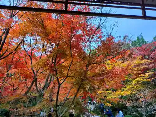 圓光寺の景色