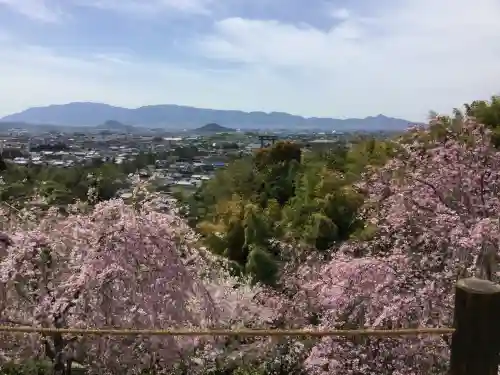 大神神社(奈良県)