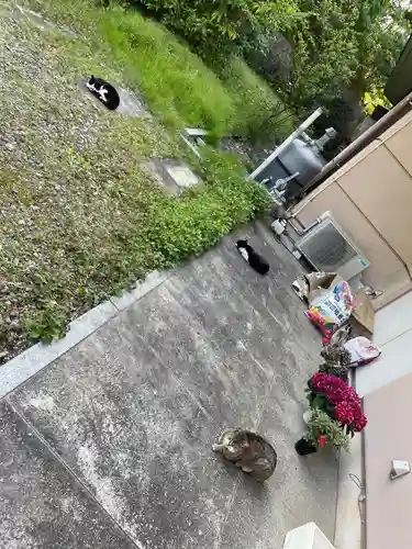 白金氷川神社(東京都)