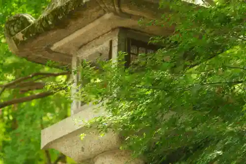 枚岡神社の自然