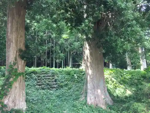 下立松原神社の自然