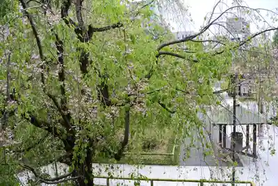 宝勝山　南藏院   蓮光寺(東京都)