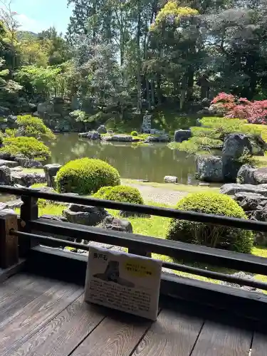 三宝院（三宝院門跡）の{uncategorized: "未分類", other: "その他", undefined: "問題あり", building: "その他建物", grave: "お墓", sacred_gate: "鳥居", guardian: "狛犬", statue: "像", buddha: "仏像", history: "歴史", nature: "自然", garden: "庭園", animal: "動物", pagoda: "塔", temizu: "手水舎", mountain_gate: "山門・神門", sanctuary: "本殿・本堂", subordinate: "末社・摂社", art: "芸術", scenery: "景色", jizo: "地蔵", ema: "絵馬", goshuin: "御朱印", omikuji: "おみくじ", items: "授与品その他", amulet: "お守り", goshuincho: "御朱印帳", eats: "食事", festival: "お祭り", votive_dance: "神楽", shichigosan: "七五三参", wedding: "結婚式", experience: "体験その他", initially: "初詣", around: "周辺", anti_infection: "感染症対策"}