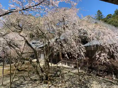 瀧谷寺(福井県)