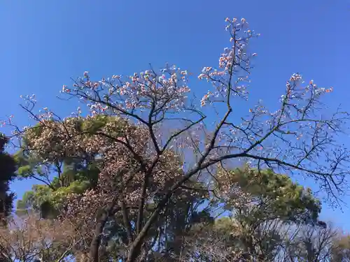 清水観音堂の自然
