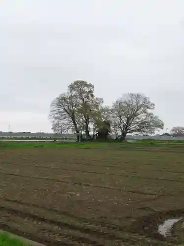 神明神社(千葉県)