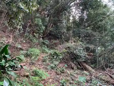 大山祇神社の周辺