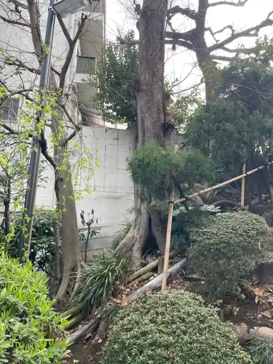 蓮華寺の{uncategorized: "未分類", other: "その他", undefined: "問題あり", building: "その他建物", grave: "お墓", sacred_gate: "鳥居", guardian: "狛犬", statue: "像", buddha: "仏像", history: "歴史", nature: "自然", garden: "庭園", animal: "動物", pagoda: "塔", temizu: "手水舎", mountain_gate: "山門・神門", sanctuary: "本殿・本堂", subordinate: "末社・摂社", art: "芸術", scenery: "景色", jizo: "地蔵", ema: "絵馬", goshuin: "御朱印", omikuji: "おみくじ", items: "授与品その他", amulet: "お守り", goshuincho: "御朱印帳", eats: "食事", festival: "お祭り", votive_dance: "神楽", shichigosan: "七五三参", wedding: "結婚式", experience: "体験その他", initially: "初詣", around: "周辺", anti_infection: "感染症対策"}