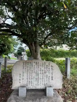 観福寺(愛知県)