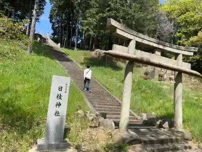 日枝神社の{uncategorized: "未分類", other: "その他", undefined: "問題あり", building: "その他建物", grave: "お墓", sacred_gate: "鳥居", guardian: "狛犬", statue: "像", buddha: "仏像", history: "歴史", nature: "自然", garden: "庭園", animal: "動物", pagoda: "塔", temizu: "手水舎", mountain_gate: "山門・神門", sanctuary: "本殿・本堂", subordinate: "末社・摂社", art: "芸術", scenery: "景色", jizo: "地蔵", ema: "絵馬", goshuin: "御朱印", omikuji: "おみくじ", items: "授与品その他", amulet: "お守り", goshuincho: "御朱印帳", eats: "食事", festival: "お祭り", votive_dance: "神楽", shichigosan: "七五三参", wedding: "結婚式", experience: "体験その他", initially: "初詣", around: "周辺", anti_infection: "感染症対策"}