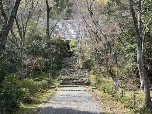 浄住寺の{uncategorized: "未分類", other: "その他", undefined: "問題あり", building: "その他建物", grave: "お墓", sacred_gate: "鳥居", guardian: "狛犬", statue: "像", buddha: "仏像", history: "歴史", nature: "自然", garden: "庭園", animal: "動物", pagoda: "塔", temizu: "手水舎", mountain_gate: "山門・神門", sanctuary: "本殿・本堂", subordinate: "末社・摂社", art: "芸術", scenery: "景色", jizo: "地蔵", ema: "絵馬", goshuin: "御朱印", omikuji: "おみくじ", items: "授与品その他", amulet: "お守り", goshuincho: "御朱印帳", eats: "食事", festival: "お祭り", votive_dance: "神楽", shichigosan: "七五三参", wedding: "結婚式", experience: "体験その他", initially: "初詣", around: "周辺", anti_infection: "感染症対策"}