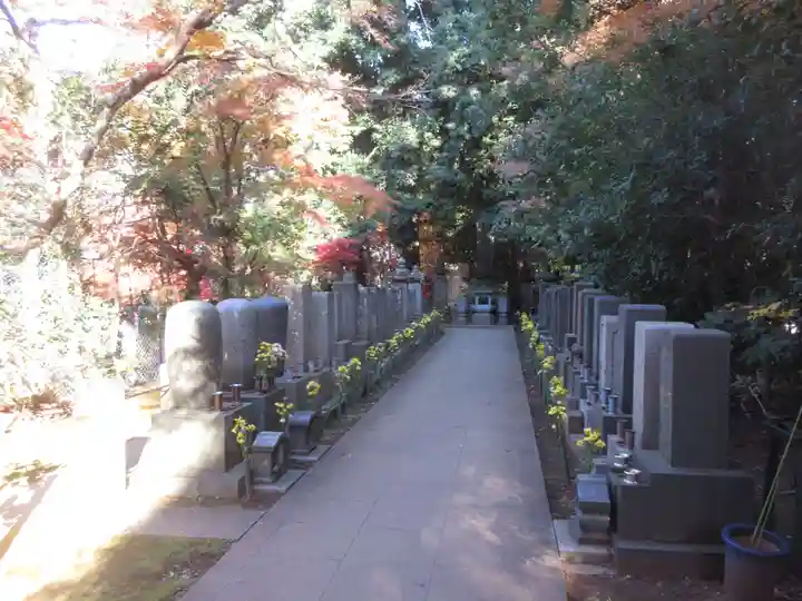 本土寺(千葉県)