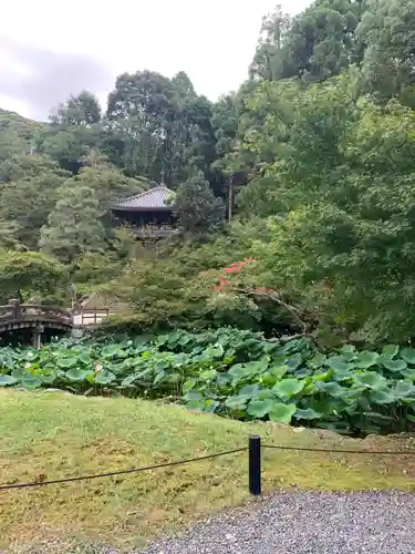 知恩院(京都府)