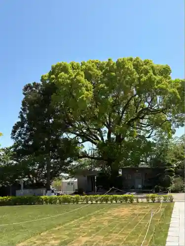 東林院（種蒔大師）(徳島県)