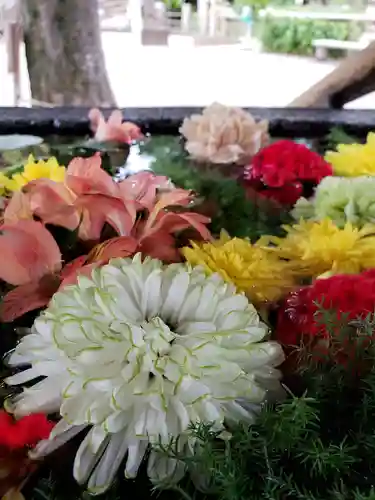 鳩森八幡神社の手水舎