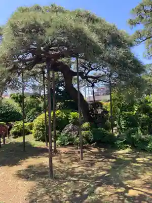 円乗院(東京都)