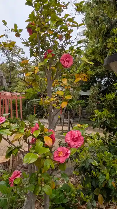 辛國神社(大阪府)