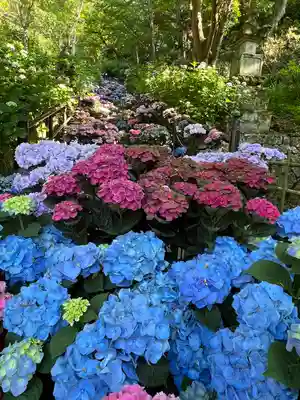 長谷寺(奈良県)