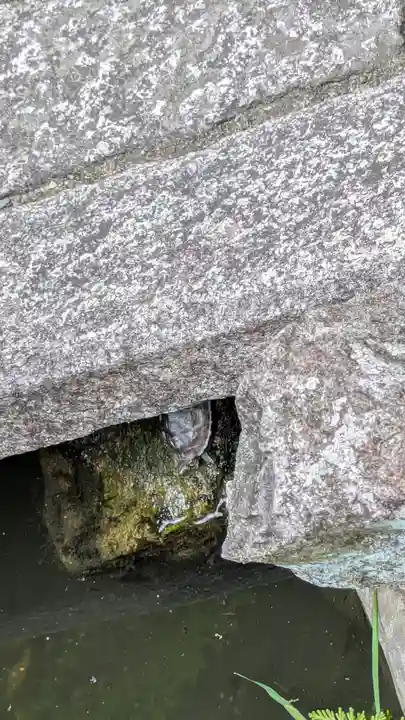 宝蔵寺(京都府)