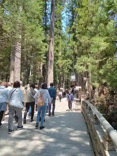 高野山金剛峯寺奥の院(和歌山県)