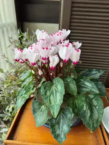 豊景神社(福島県)