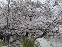 厳島神社(広島県)