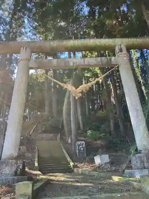 氷川神社の鳥居