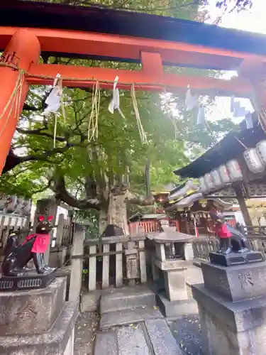 満足稲荷神社(京都府)