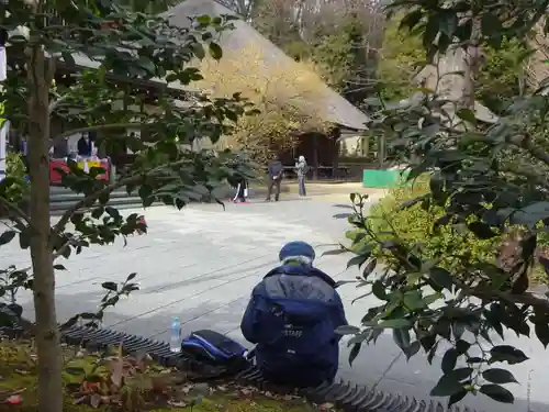 横浜　西方寺の景色