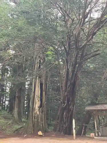 早池峰神社(岩手県)