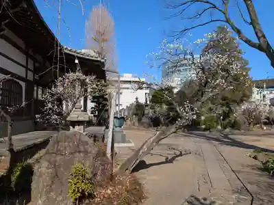 瑞円寺(東京都)