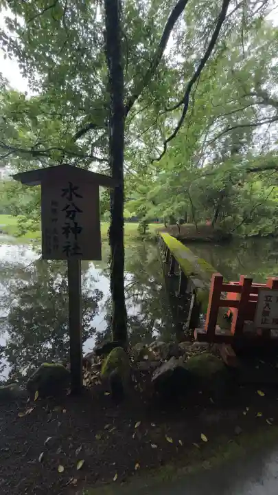 宇佐神宮(大分県)