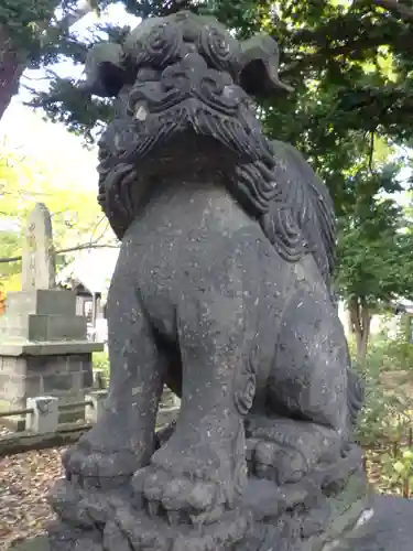 新琴似神社の狛犬