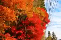 愛宕神社の景色