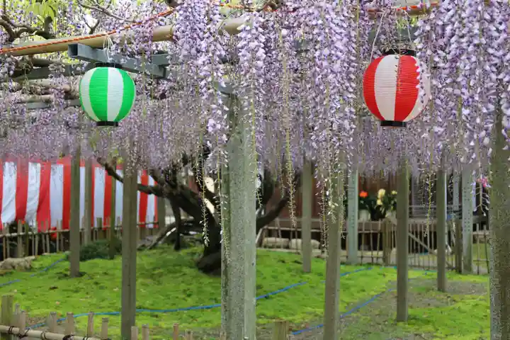 惣社神社(滋賀県)