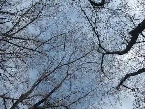 杵築神社(山口県)