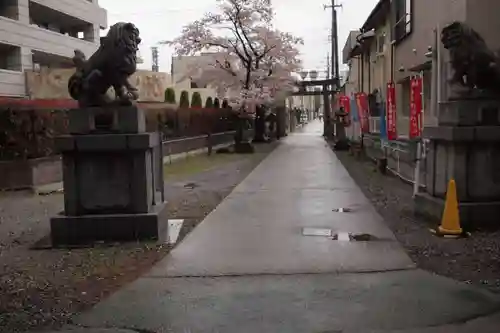 穴切大神社の狛犬