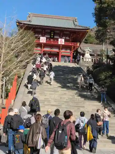 鶴岡八幡宮の初詣